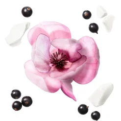 Femme Mauboussin Promise me Flower                Eau de Toilette