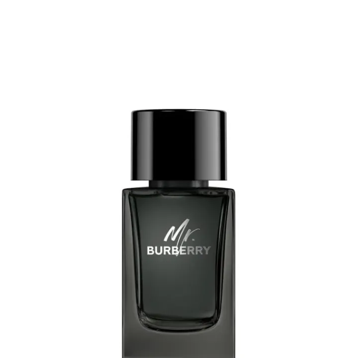 Homme Burberry Mr. Eau de Parfum