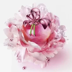 Femme NINA RICCI Nina Illusion                Eau de Parfum