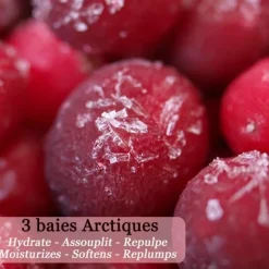 Polaar La Véritable Crème de Laponie Aux 3 baies Arctiques                Lait Corps Hydratant