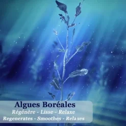 Polaar Nuit Polaire aux Algues Boréales                Lait Corps Hydratant