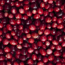 Femme Ralph Lauren Big Pony Women                Eau de Toilette