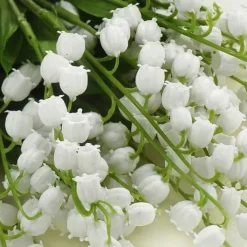 Femme Ralph Lauren Big Pony Women                Eau de Toilette