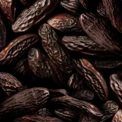 Femme Ralph Lauren Big Pony Women                Eau de Toilette