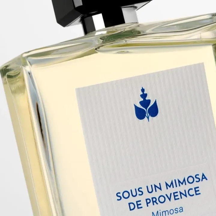 Femme Réminiscence Sous un Mimosa de Provence - Mimosa Eau de Toilette Intense