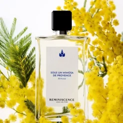 Femme Réminiscence Sous un Mimosa de Provence - Mimosa Eau de Toilette Intense