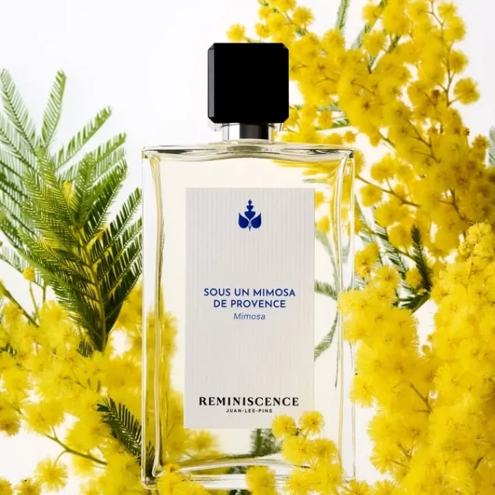 Femme Réminiscence Sous un Mimosa de Provence - Mimosa Eau de Toilette Intense