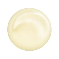 Homme SHISEIDO Men                Revitalisant Total Yeux