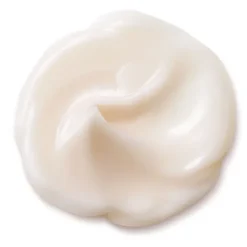 SHISEIDO Bio-Performance                Crème Super Revitalisante Absolue