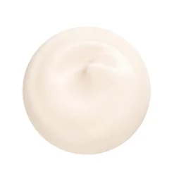 SHISEIDO Essential Energy Crème Jour Activatrice d'Hydratation SPF20
