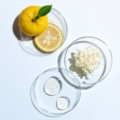 SHISEIDO Eudermine                Essence Activatrice Revitalisante - Recharge