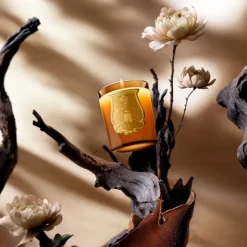 Trudon Altaïr - Oud et Pivoine Bougie Parfumée