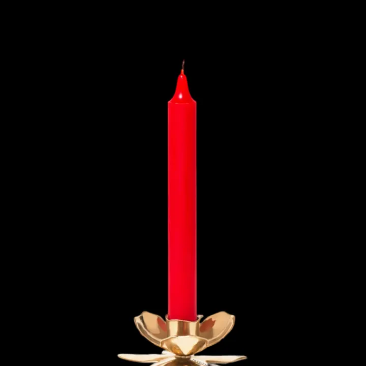 Trudon Bougeoir Fleur Chandelier en Métal Doré