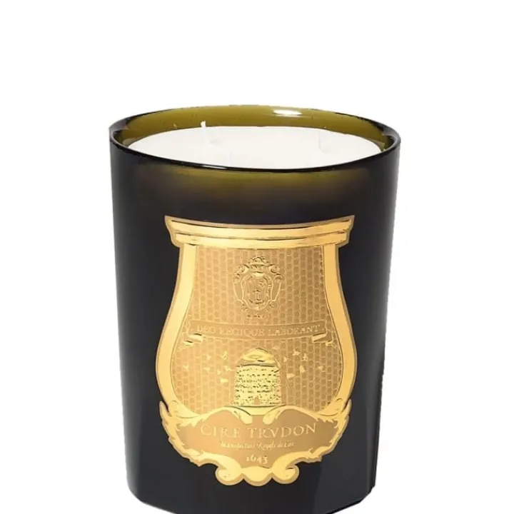 Trudon Ernesto • Cuir et Tabac Bougie Intermède