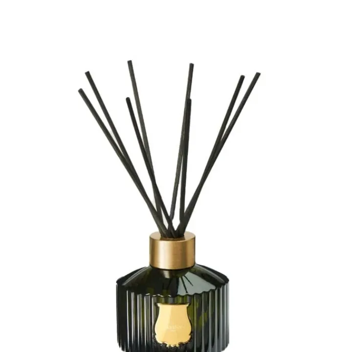 Trudon Ernesto Diffuseur