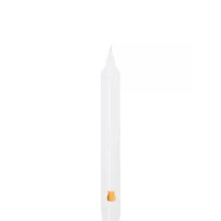 Trudon Gabriel -  Feu de Bois Gourmand                Bougies Parfumées de la Madeleine