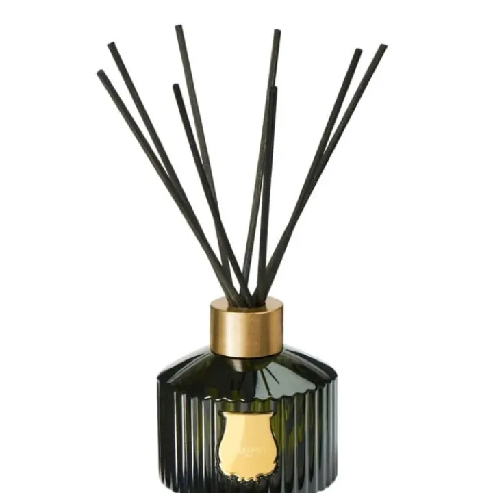 Trudon Gabriel Diffuseur d'Ambiance