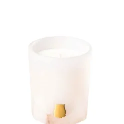Trudon Les Albâtres Ernesto                Bougie Parfumée
