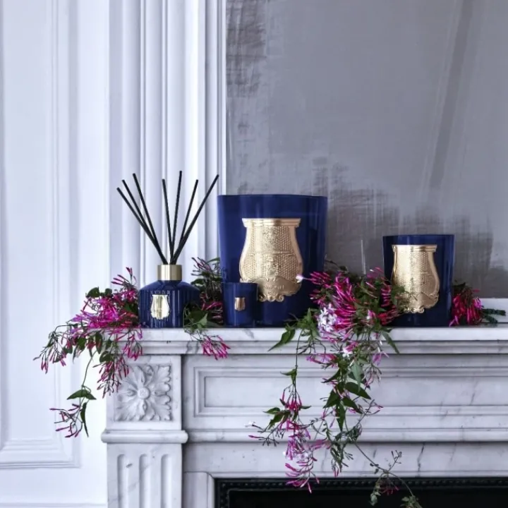 Trudon Maduraï Diffuseur d'Ambiance