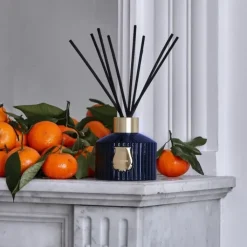 Trudon Reggio                Diffuseur d'Ambiance
