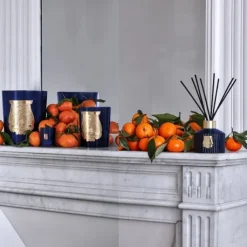 Trudon Reggio                Diffuseur d'Ambiance