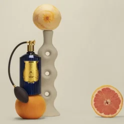 Trudon Salta                Vaporisateur d'Ambiance