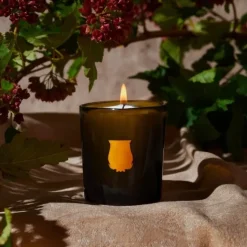 Trudon Solis Rex                Bougie Parfumée