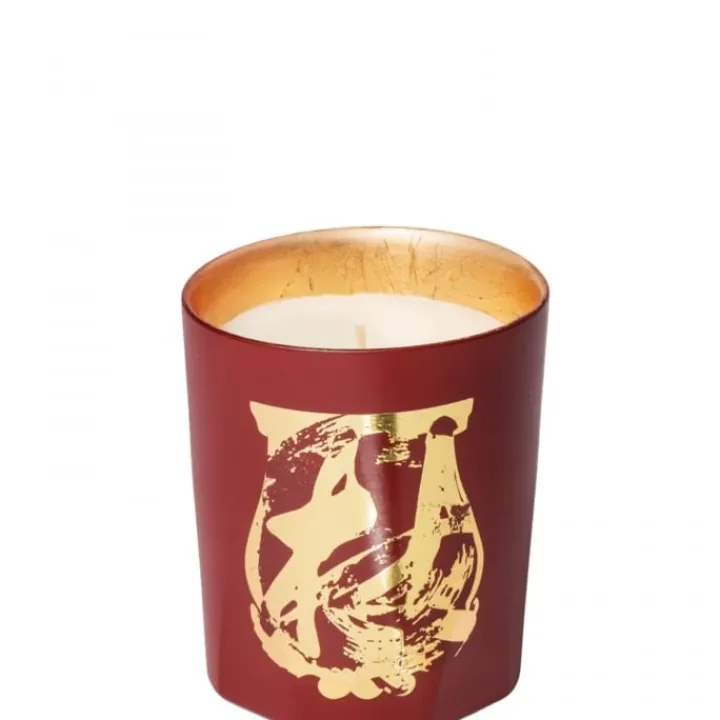 Trudon Terre à Terre Bougie Parfumée