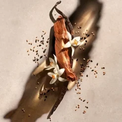 Femme ZADIG&VOLTAIRE Zadig                Eau de Parfum